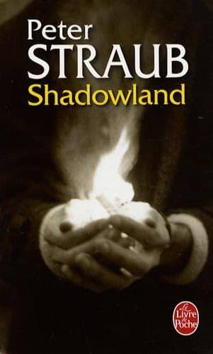 Illustration de Shadowland