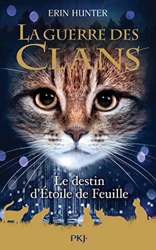 Illustration de Le destin d'Étoile de Feuille