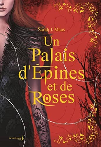 Illustration de Un palais d’épines et de roses
