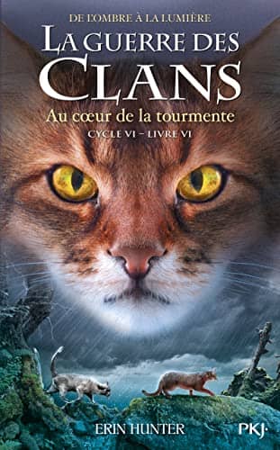 Illustration de Au coeur de la tourmente