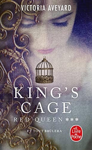 Illustration de King's Cage