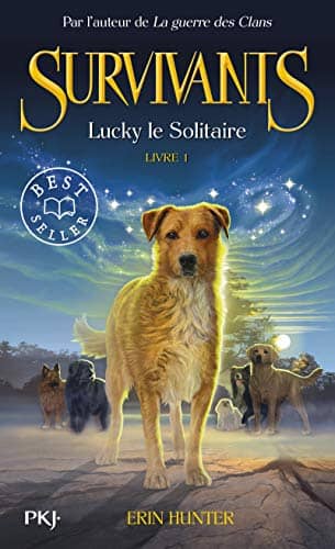Illustration de Lucky le solitaire