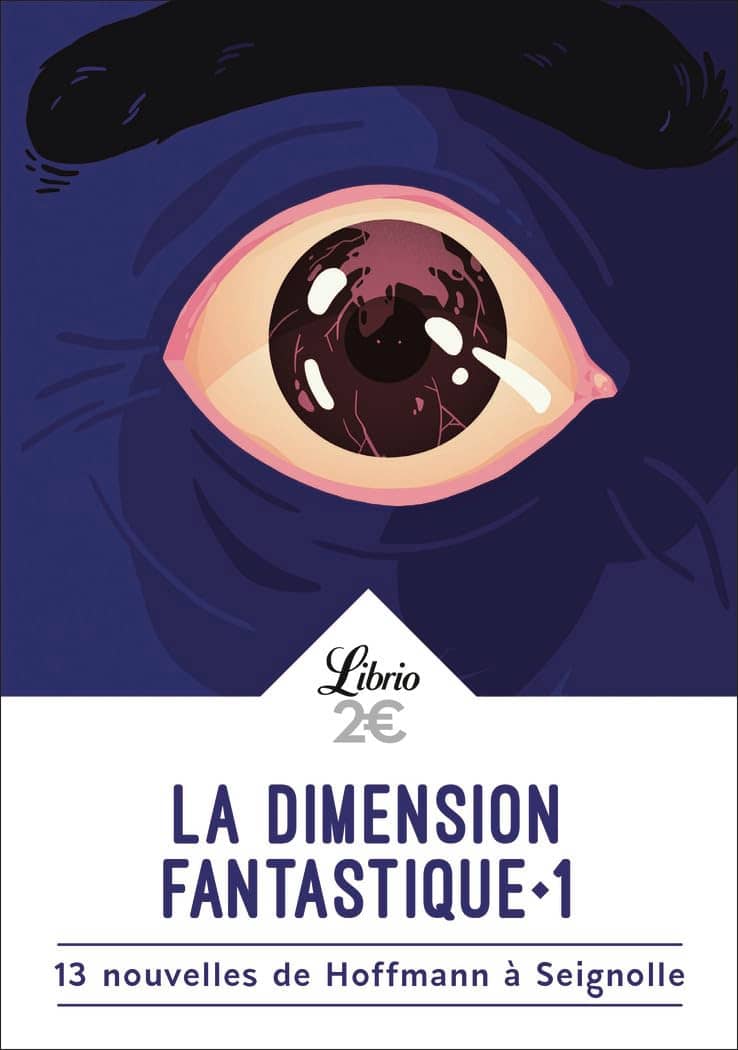 Illustration de La dimension fantastique
